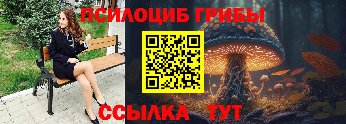 Салават  Псилоцибиновые грибы мицелий  Вход с VPN 